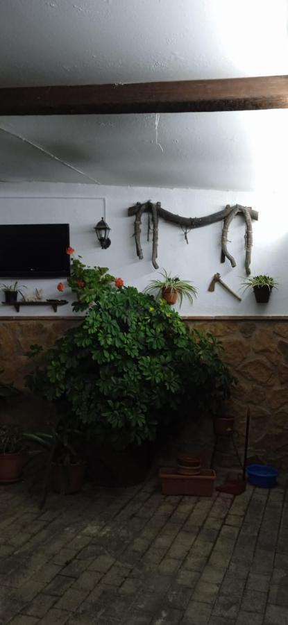 Гостьовий будинок Casa Cueva El Almendro Pegalajar Екстер'єр фото