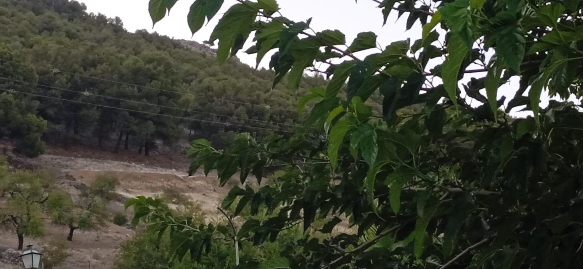 Гостьовий будинок Casa Cueva El Almendro Pegalajar Екстер'єр фото